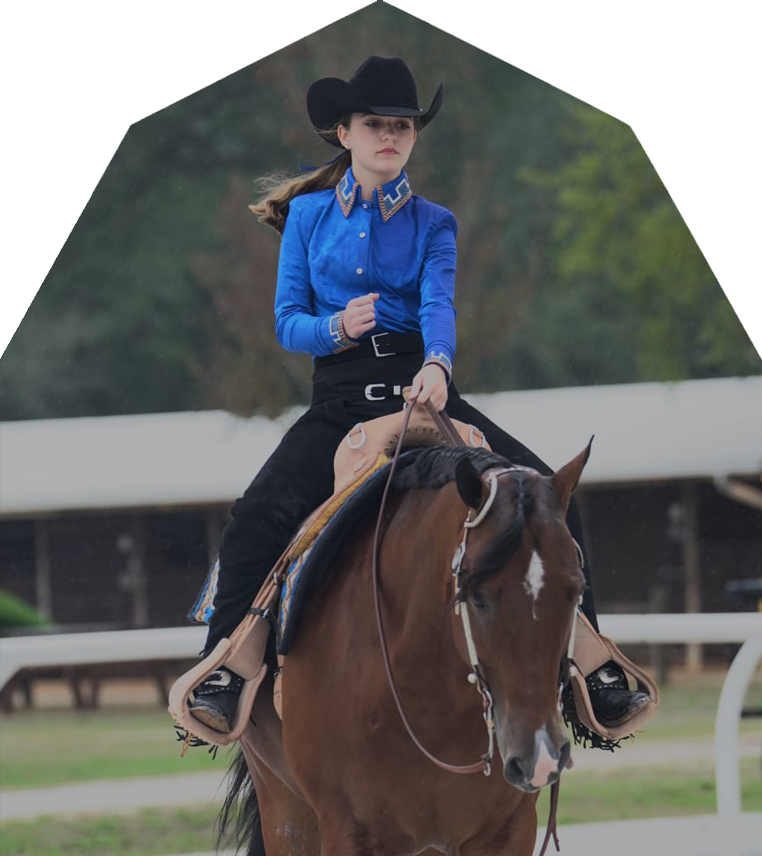 Designer Horse Show Clothes