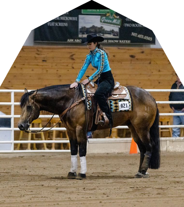 Designer Horse Show Clothes