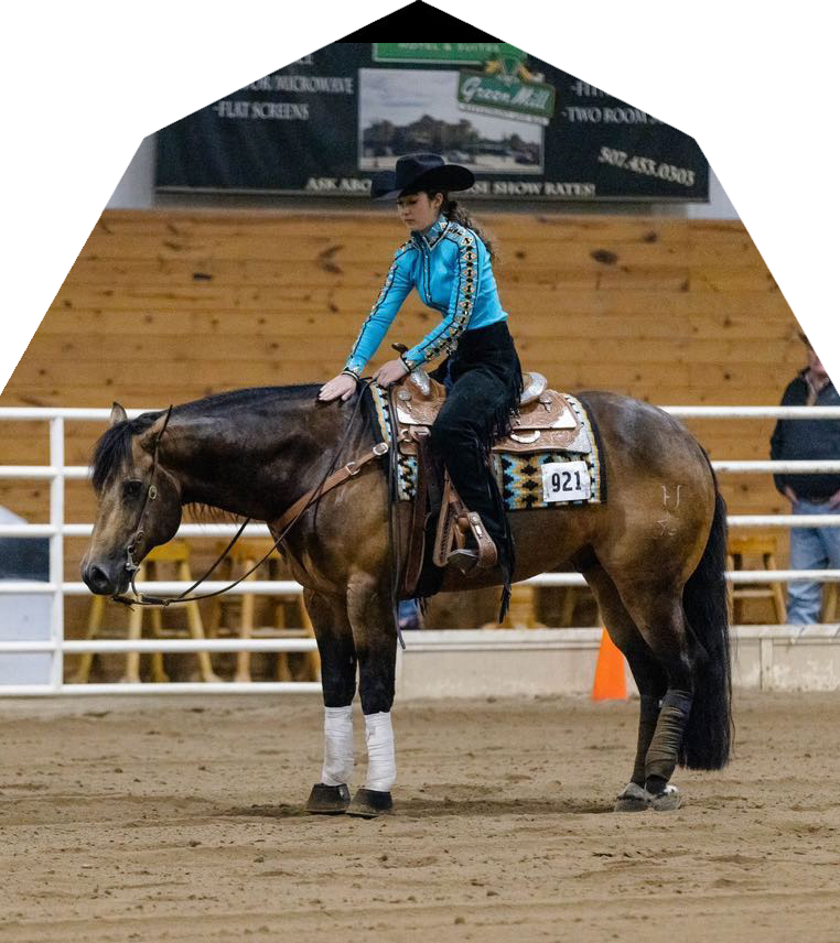 Designer Horse Show Clothes