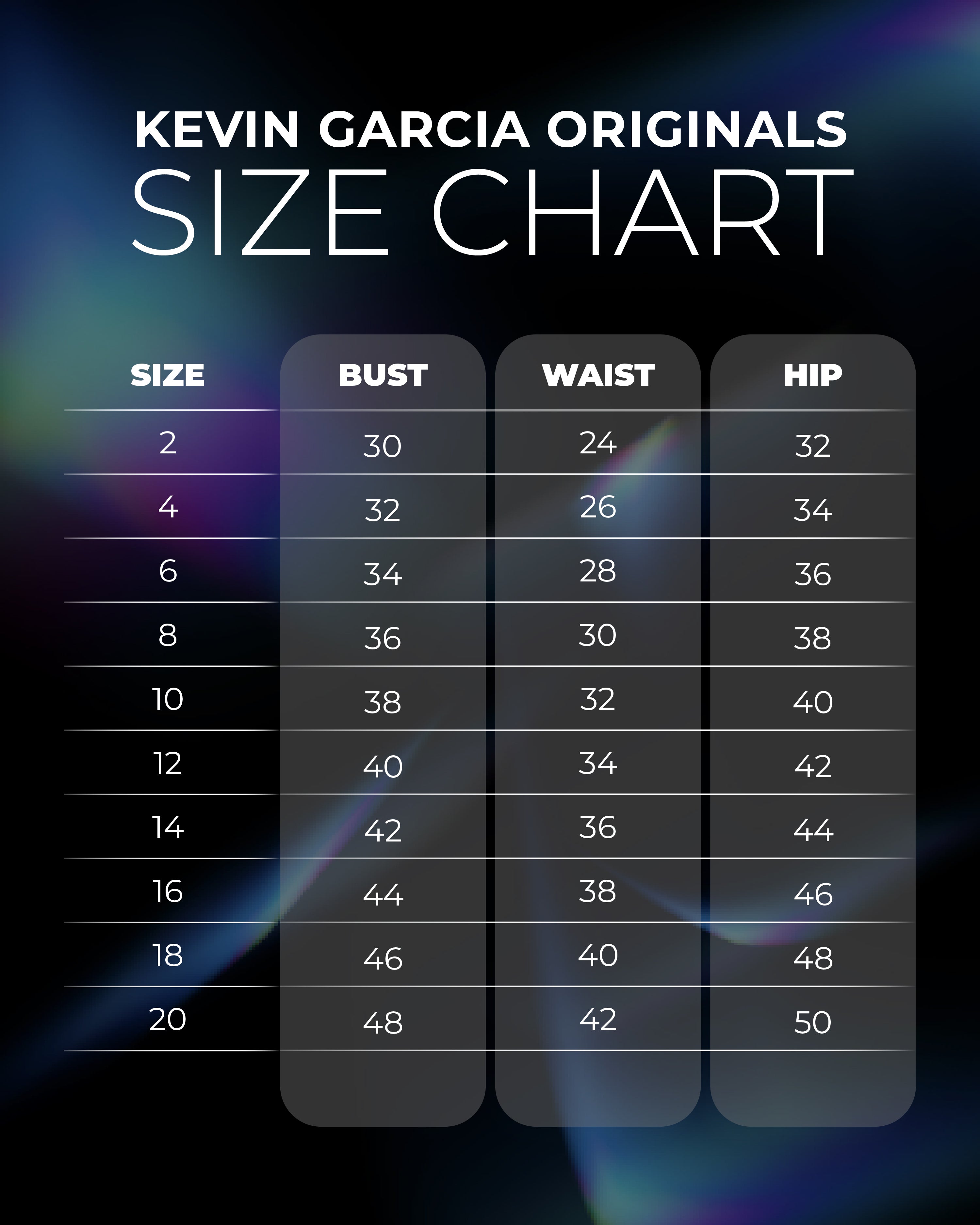 Retro REMAKE - Lace - Sheer Sleeves - Hidden Zipper Retro Shirt